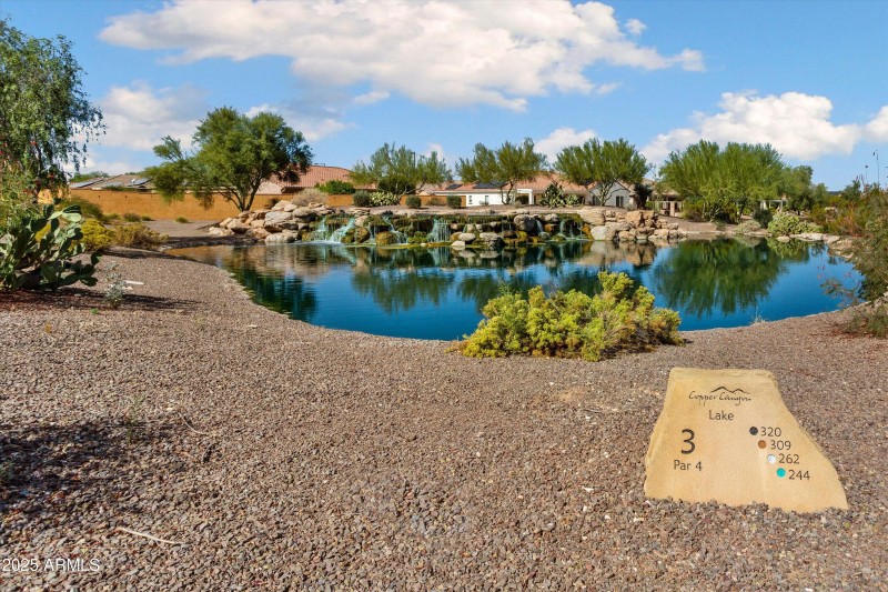 074-Sun City Festival - Sage (19)