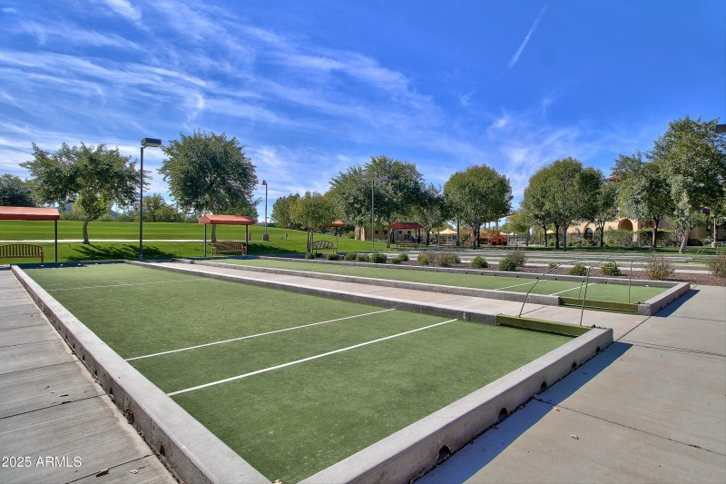 088-Sun City Festival - Sage (33)