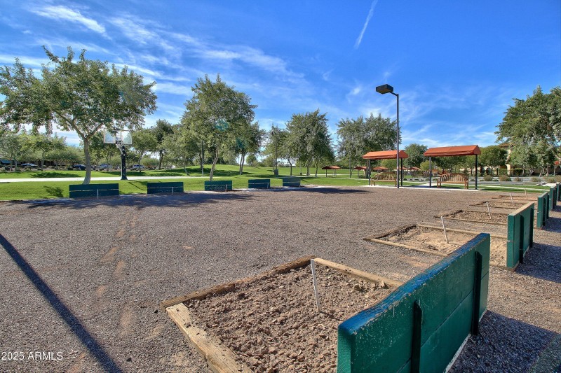 089-Sun City Festival - Sage (34)