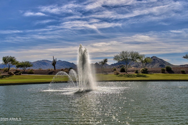 093-Sun City Festival - Sage (38)