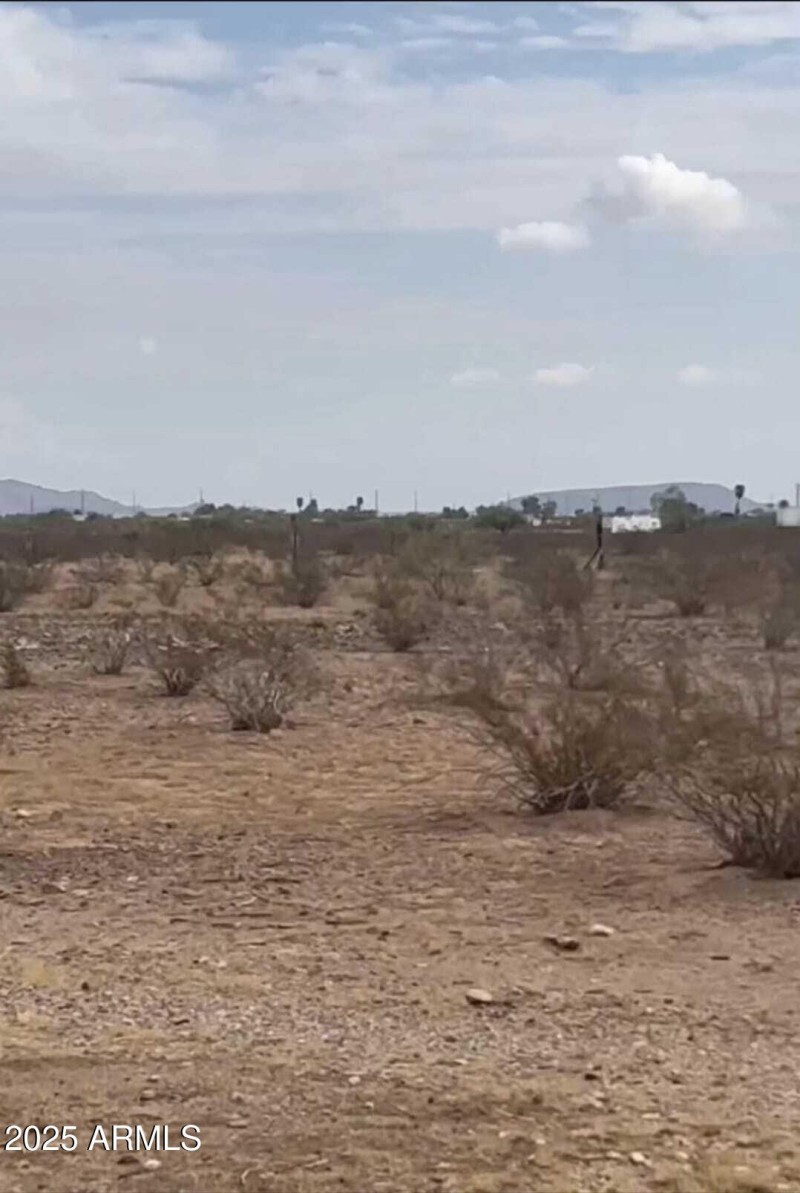 WhatsApp Image 2025-09-10 at 9.46.09 AM