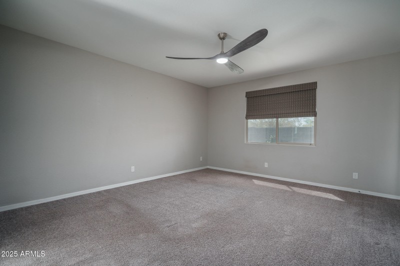 18) PRIMARY SUITE