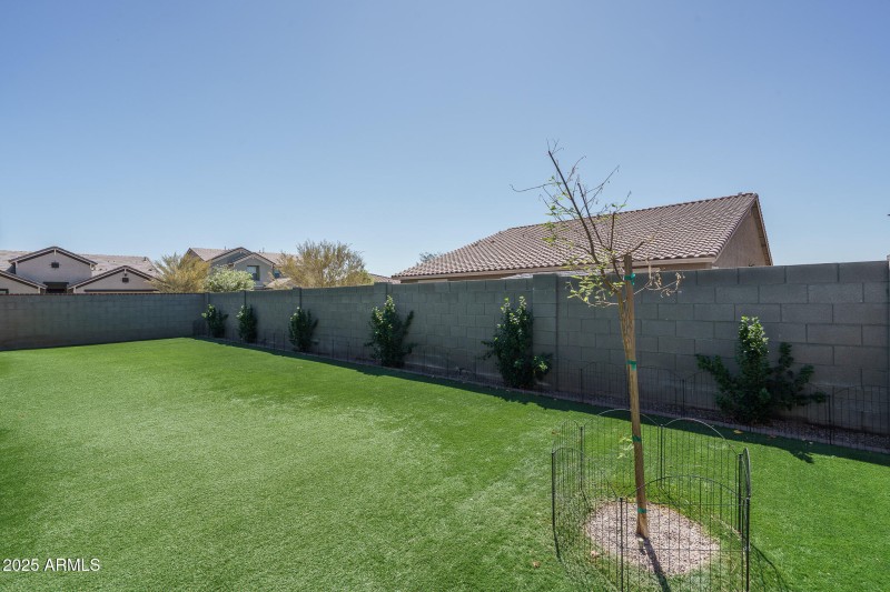34) BACKYARD