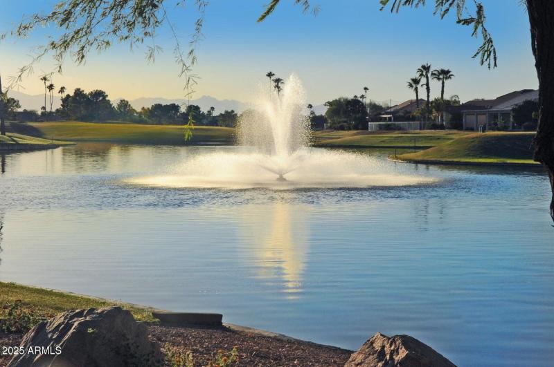 Spectacular Oakwood Views