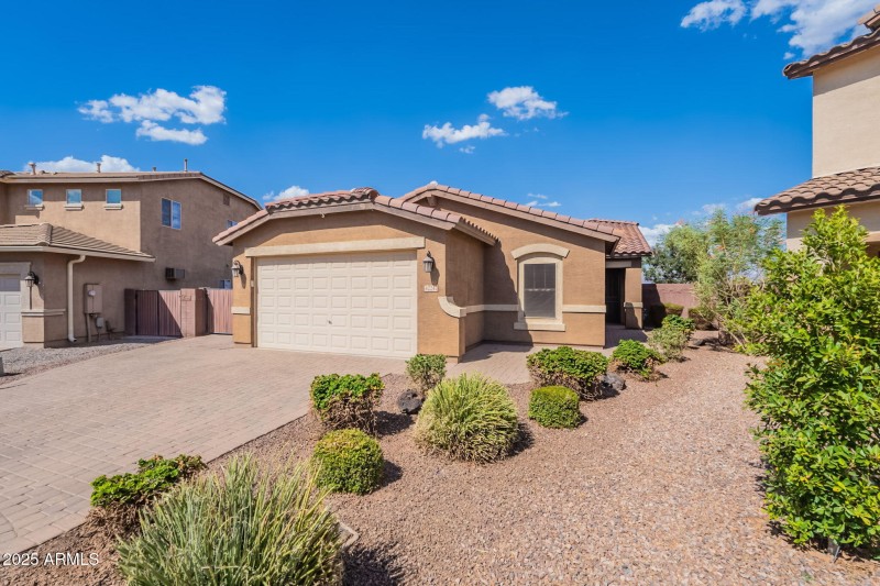 3-web-or-mls-Tulip-3