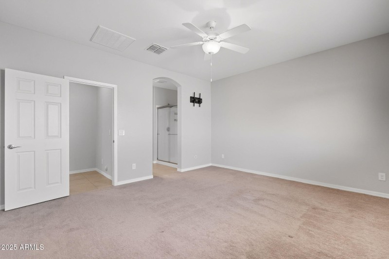 21-web-or-mls-Tulip-21