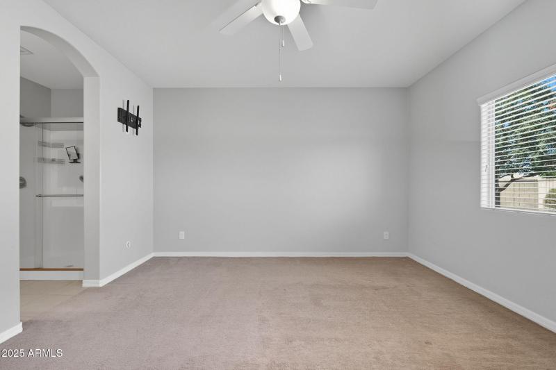 24-web-or-mls-Tulip-24