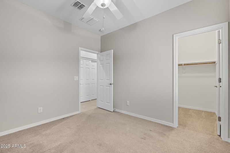 30-web-or-mls-Tulip-30