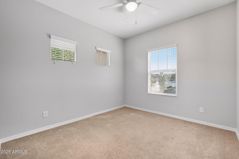 32-web-or-mls-Tulip-32