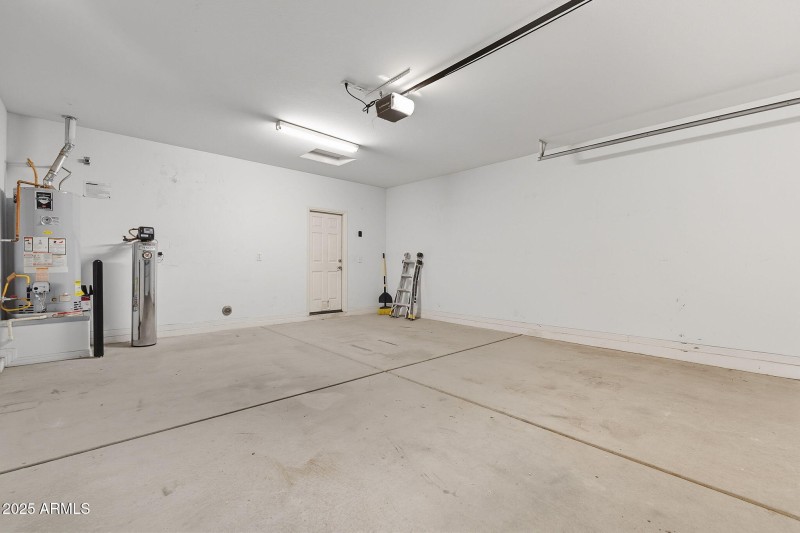 38-web-or-mls-Tulip-38