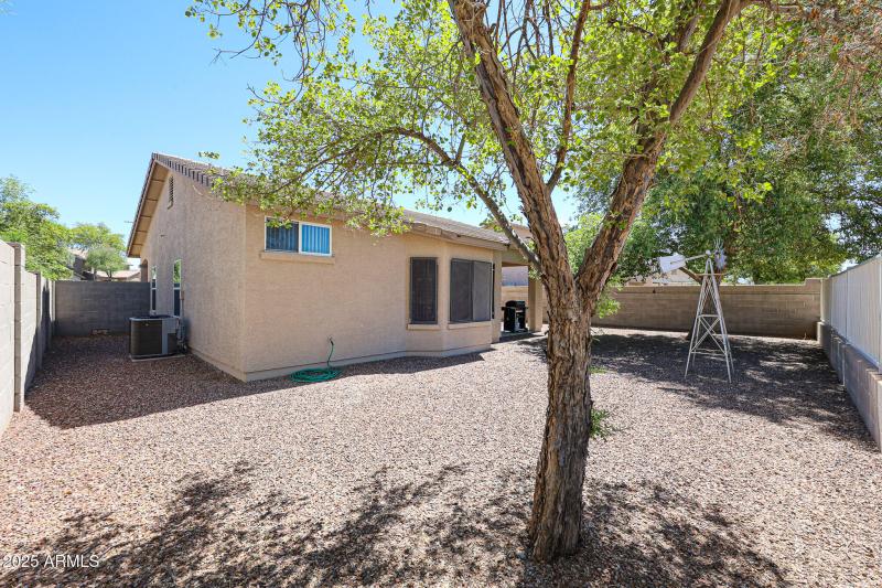 Low Maintenance Backyard