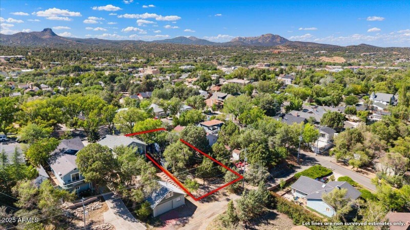 44-Aerial View Property Lines SW