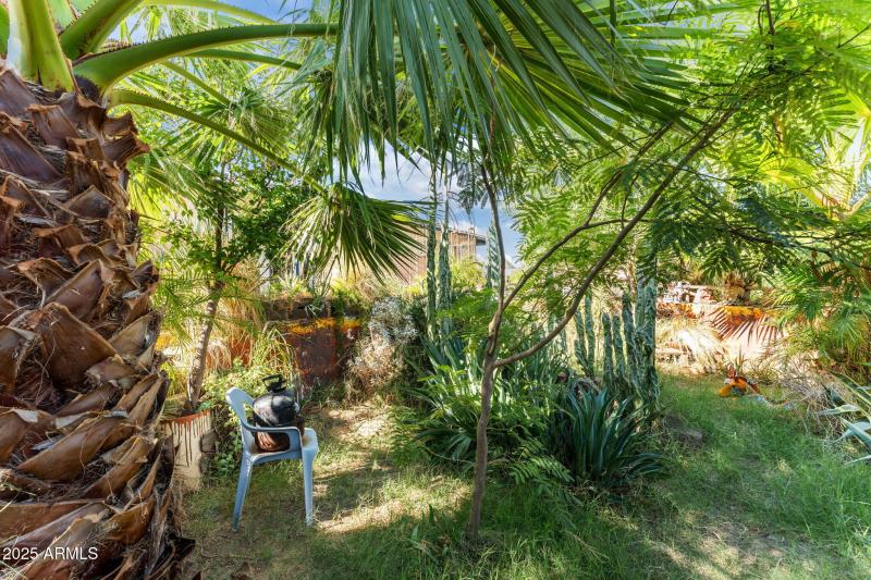 21-web-or-mls-DSC09574