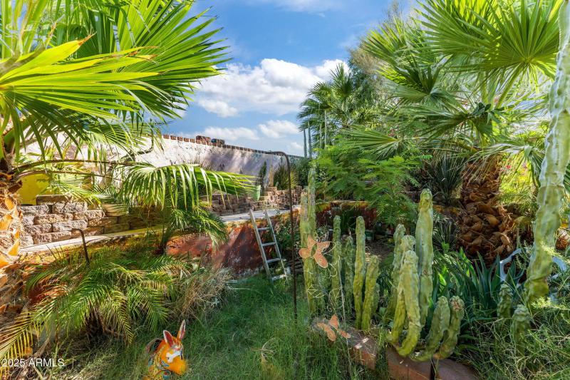 22-web-or-mls-DSC09584