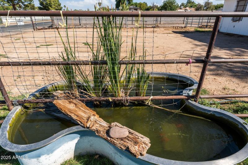 31-web-or-mls-DSC09629