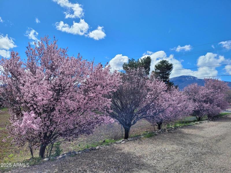 315 S. Willard Exterior 4