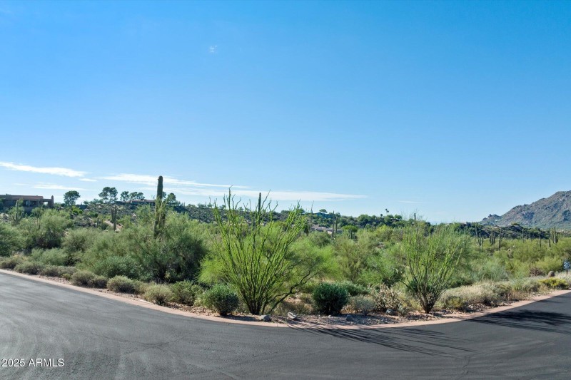 Corner Ocotillo Ridge and Crested Quail