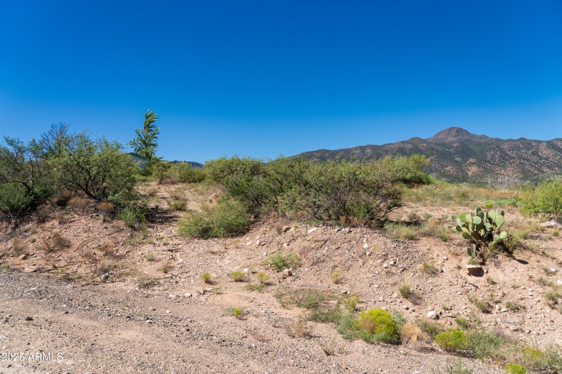 JL_6364CedarSpringsSt-ground-01