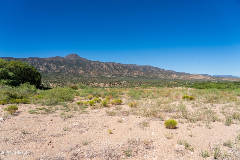 JL_6364CedarSpringsSt-ground-02