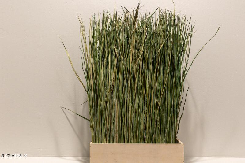 10_8161_E_Alameda_Rd__010_mls