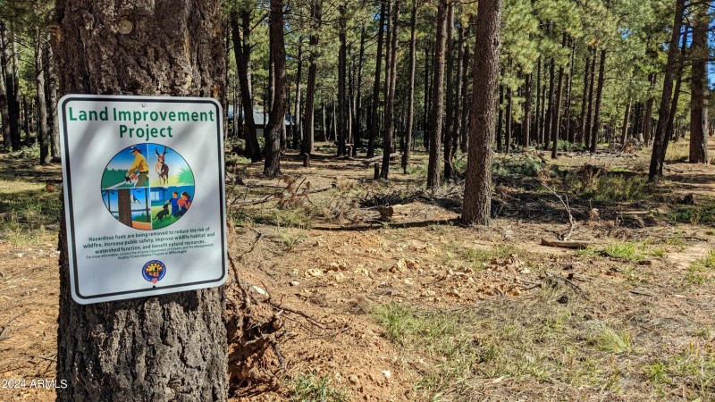 Firewise Tree Thinning