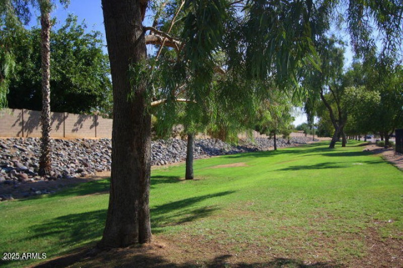 18050 N 25th Way - MLS # - 18