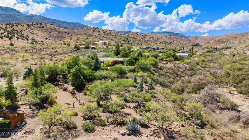 34-Aerial View Garden