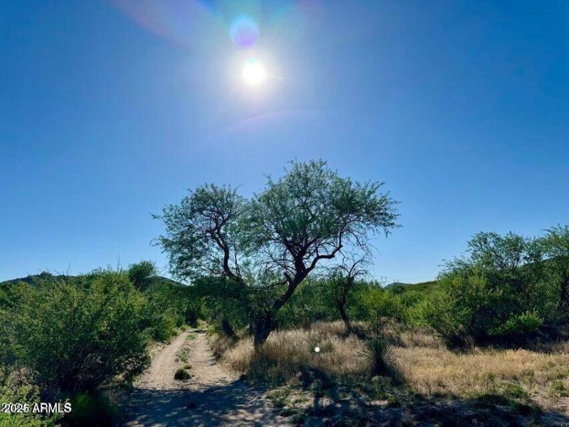 20250312083429021583000000-o (1)