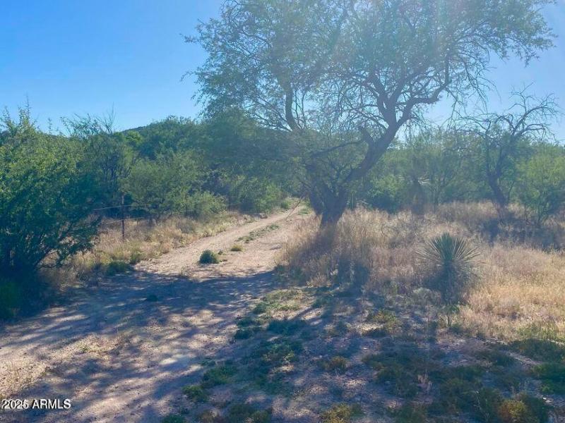 20250312083524684018000000-o (1)