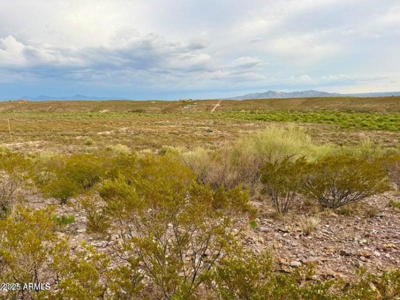 20250721102301199161000000-o