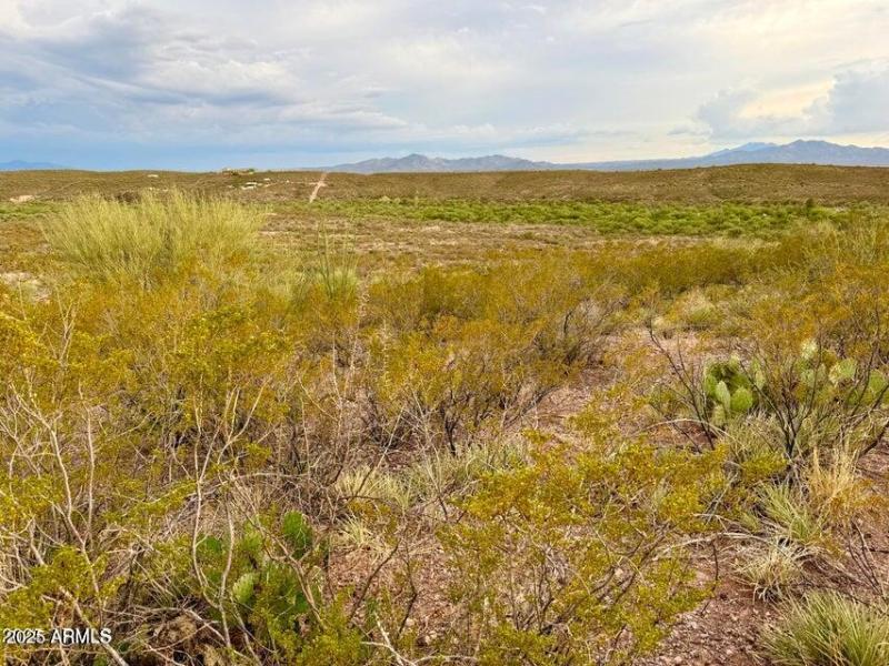 20250721102805299917000000-o