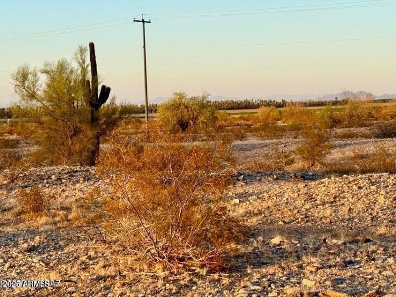 20250827082840842941000000-o (1)