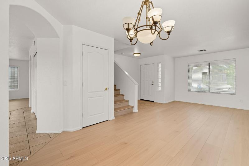 8-web-or-mls-Gambit-8