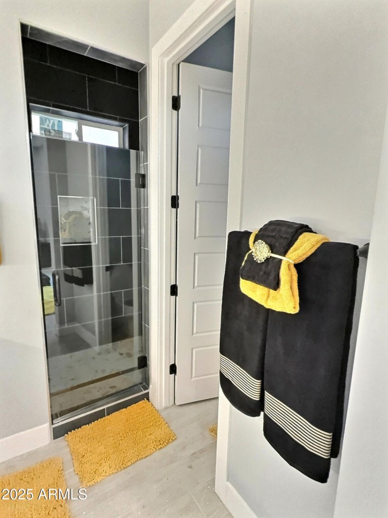 Overfield Master Shower and toilet room