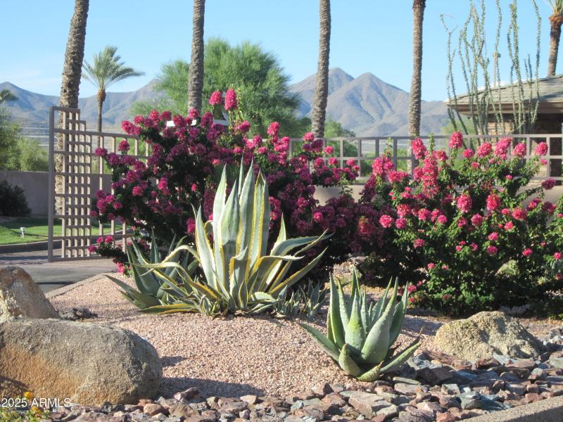 Color throughout the community