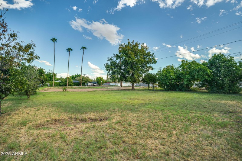 5-web-or-mls-5704 N 11th Ave--5
