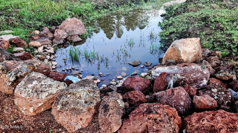 20250912_055305-EDIT