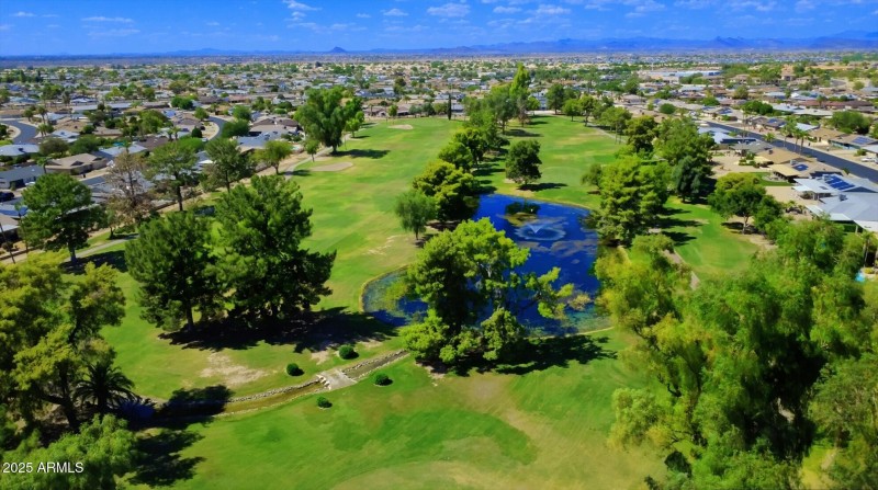 Pine Springs Drive (59)