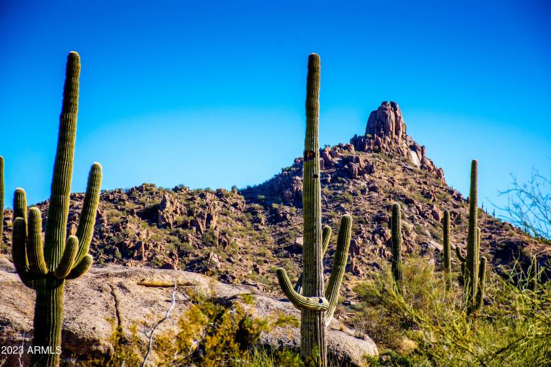 Pinnacle Peak Views!