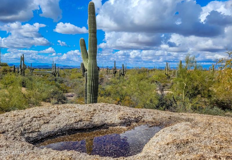 water gathered in basin