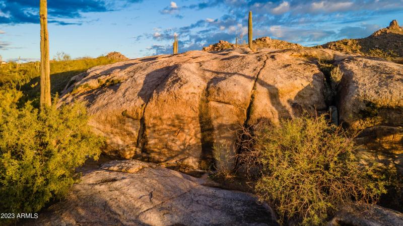 Showcase entrance rock wall
