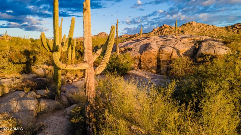 loaded with spectacular Arizona desert