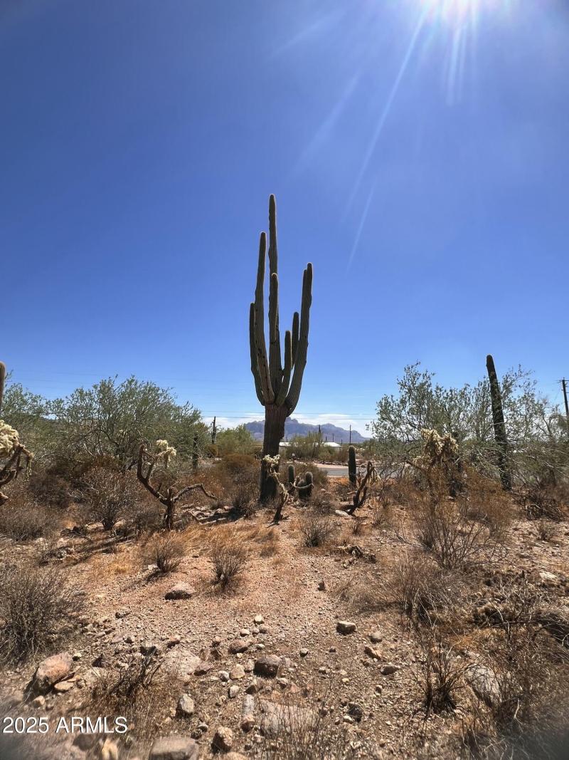 999338D7-2717-4719-9546-3B580CEED3E0