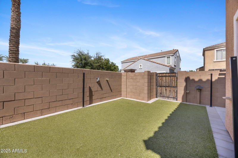 Backyard