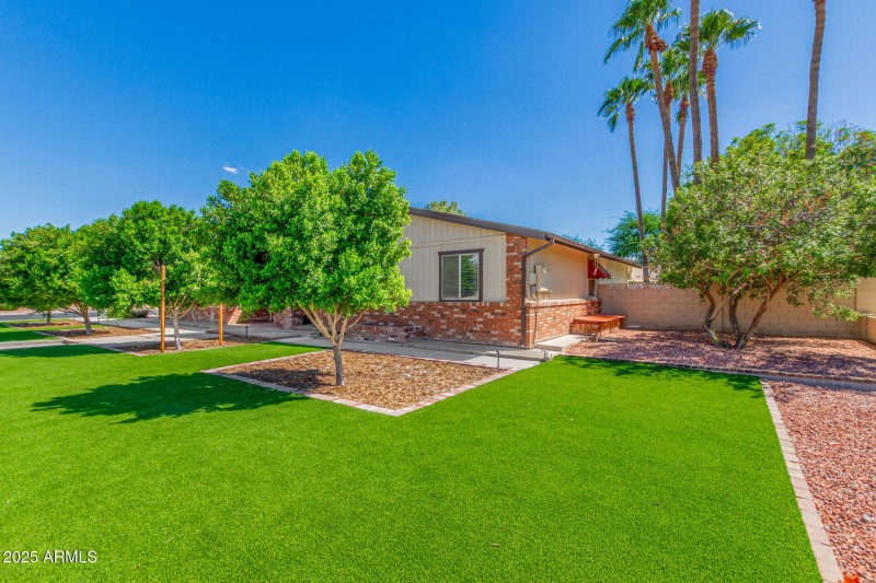 Front Yard