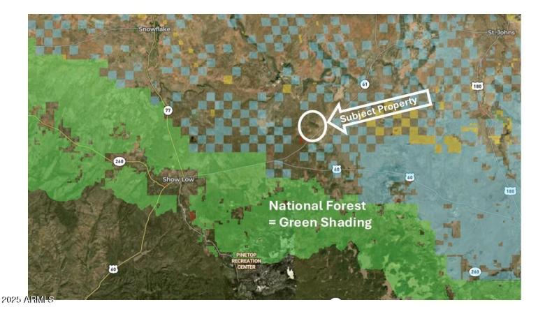 Country Ln and National Forest