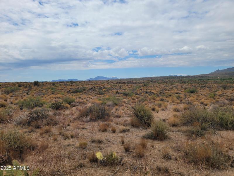 Lots of building pads