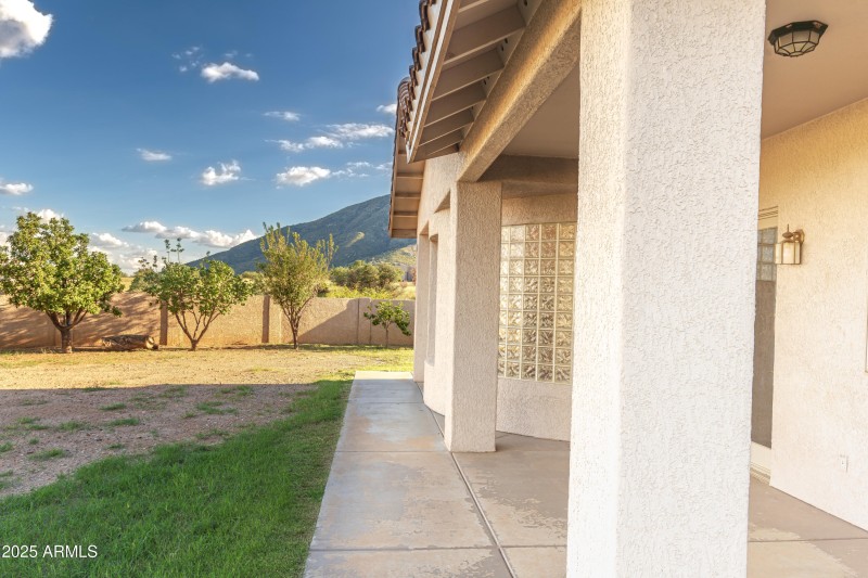 Expansive Back Patio