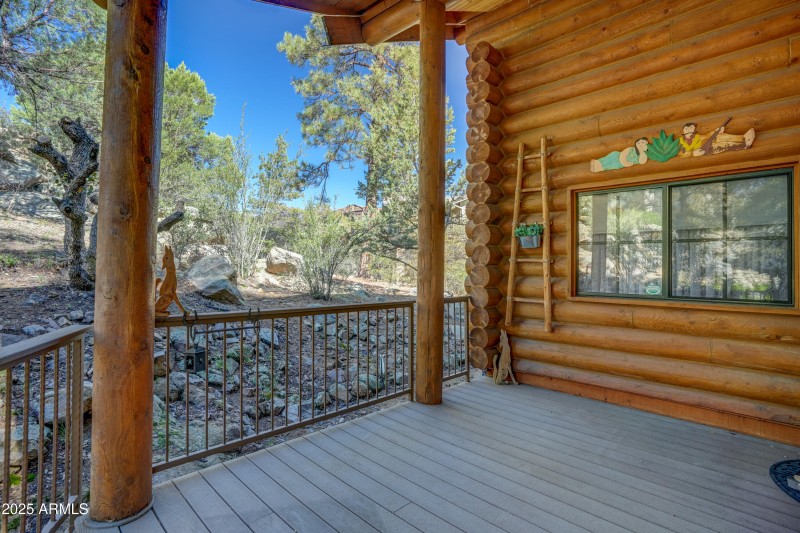 Back Patio 1