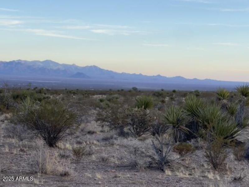 A6E2B20E-7FE0-4098-AE5F-B4A488883442_1_1